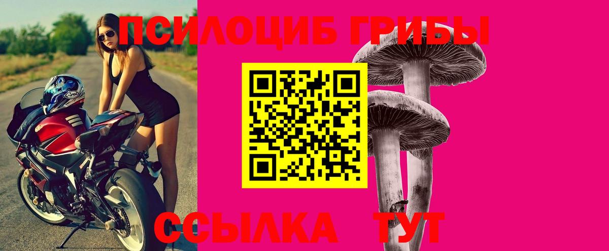 Псилоцибиновые грибы ЛСД  Вход с VPN  Елабуга 