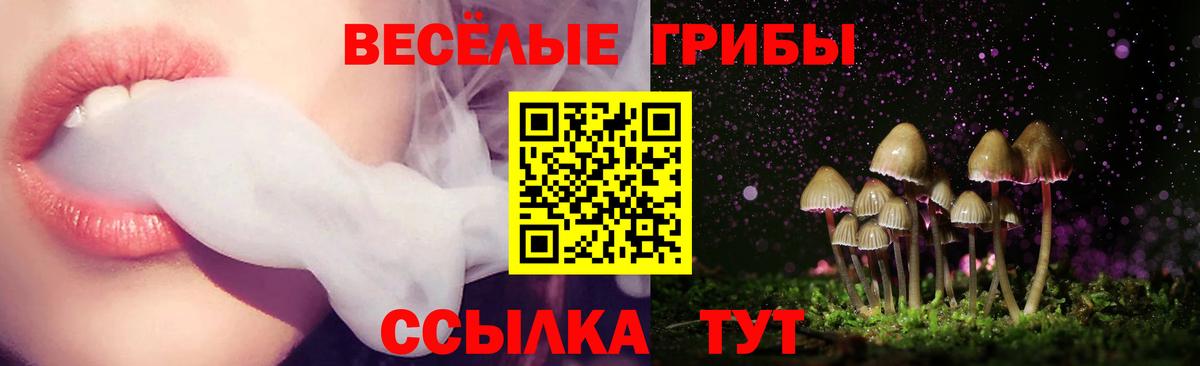 Псилоцибиновые грибы GOLDEN TEACHER Елабуга